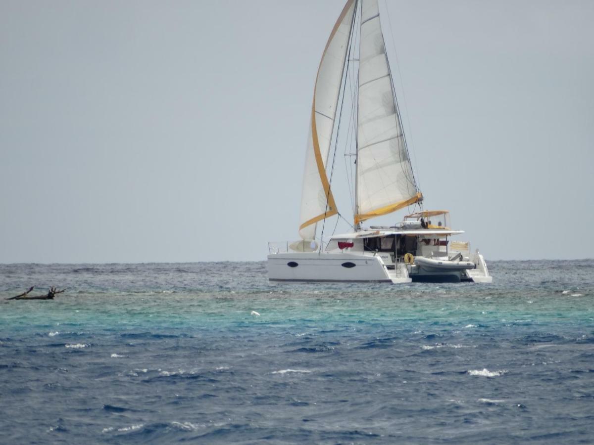 Te Fitii Garden & Beach فار المظهر الخارجي الصورة